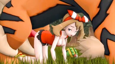 Pokemon X Trainer (PMV/HMV)