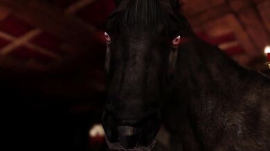 Serenas Horse is Tamed by a Wild Stallion - The Hottest 4K Porn Scene Youll Ever See