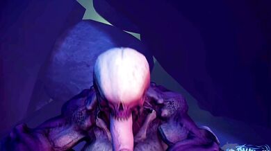 The Hellish Knight’s Deep Throat BJ with Da Sharky