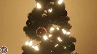 DVas Anal Initiation [TS] - Sensual Studio