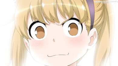 The Joy of Breeding 3 [GeeWhy]