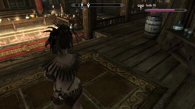 Fantasy Races, The Skyrim Edition - Episode 1: The Competition