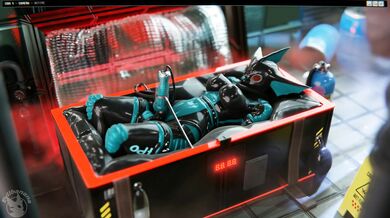 No Box, No Extra Cameras - EvilBanana