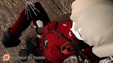 Taking it to the Next Level: Seras Victorias Online Adventures