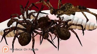 Taking it to the Next Level: Seras Victorias Online Adventures