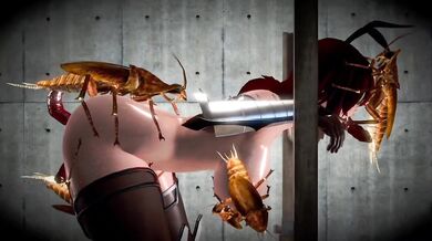 Watch as Shiranui and Roach get it on in this hot fuck scene!