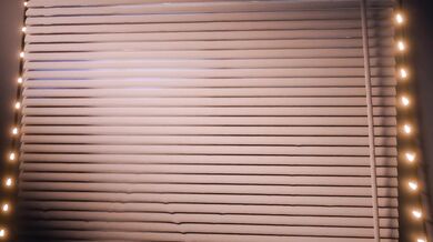 Watch as the curtains open to reveal a window, through which you can see Mavis, who seems to be enjoying herself immensely with Scrag boy