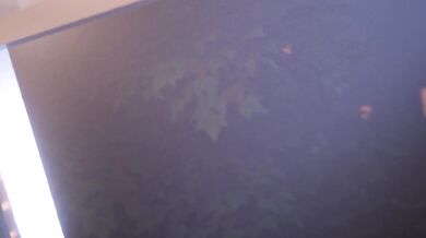 Watch as the curtains open to reveal a window, through which you can see Mavis, who seems to be enjoying herself immensely with Scrag boy