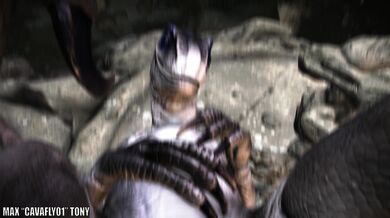 Enter the name of a famous person who was born on your birthday