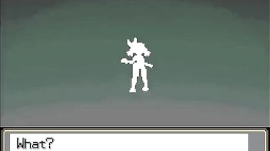 The Evolution of May