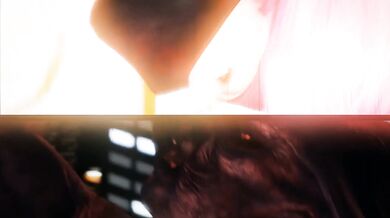 ---------------------