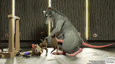 ----------------------