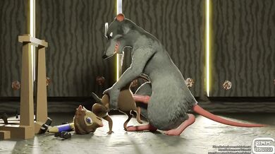 ----------------------