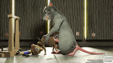 ----------------------