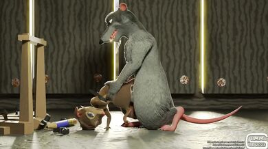 ----------------------