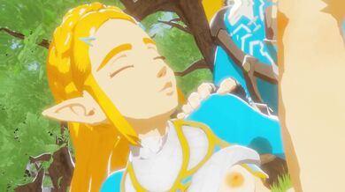 The Legend of Zelda: Breath of the Wild 3DX (Brat VIP Version)