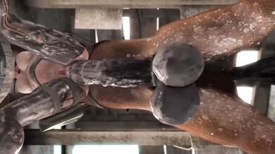 Breaking the Quiet HMV, a new adult video featuring the sexiest pornstars as they get down and dirty in a music store after hours