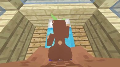 The Minecraft Sex Mod - Bia [Schnurri_tv]