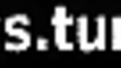 The Dragonqueens Ritual - Insignious