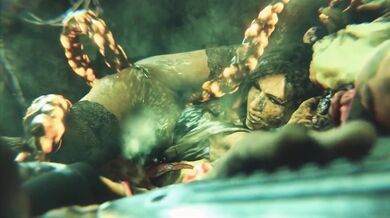 Sex and Reality: HMV XXX Edition