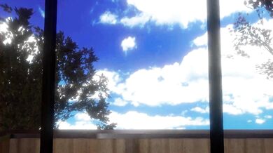 In the Room of Love, the Wolf Cums Calling