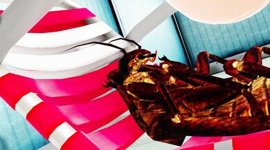 Tentacle Terror: Poolside Bugs 4k!