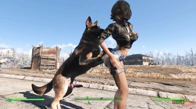FO4 Back in the Swing