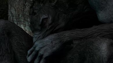 -------------------------------------------------------------- [CastusHeoc] Werewolf Head - The Unleashed Beast