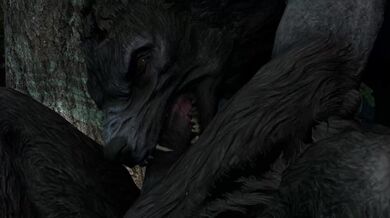 -------------------------------------------------------------- [CastusHeoc] Werewolf Head - The Unleashed Beast