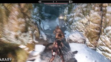 Sexual Quests in Skyrim: A Womans Best Friend