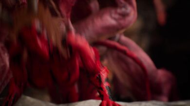 Incubuss Desire: A hot succubus takes on an unsuspecting incubus in a steamy night of passion and lust