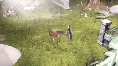 Watch this hot horse video for some thrilling action