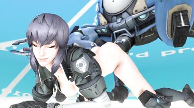 Write a program that takes an input from the user, checks if it is a number or not and prints Invalid Input if it is not a number