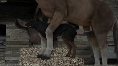 A female canine dog and a male stallion horse have intercourse, resulting in a litter of wolf-like pups born in the land known as Wolfland