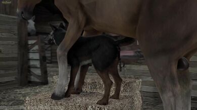 A female canine dog and a male stallion horse have intercourse, resulting in a litter of wolf-like pups born in the land known as Wolfland
