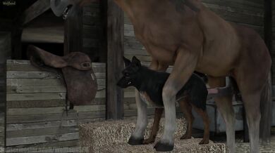 A female canine dog and a male stallion horse have intercourse, resulting in a litter of wolf-like pups born in the land known as Wolfland