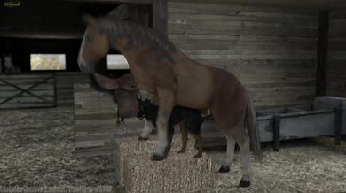 A female canine dog and a male stallion horse have intercourse, resulting in a litter of wolf-like pups born in the land known as Wolfland