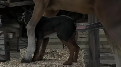A female canine dog and a male stallion horse have intercourse, resulting in a litter of wolf-like pups born in the land known as Wolfland