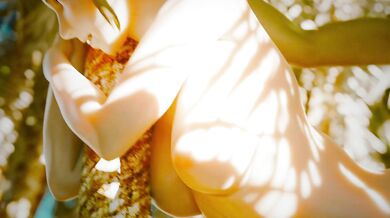 The Sage of Osiriss Tempting Vacation with Princess Zelda and Link