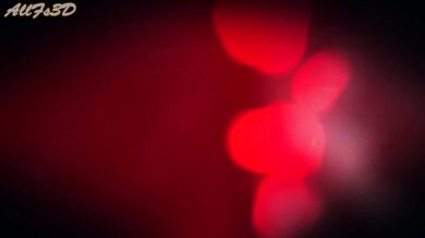 Reworded: Dirty Foot Delight [SDF]