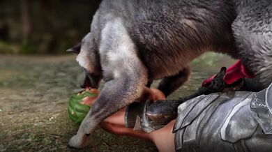 The Preview of the Infatuated Wolf
