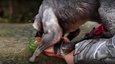 The Preview of the Infatuated Wolf