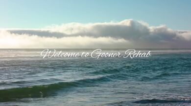 Rewritten as: "Gooney Rehabilitation, Hardcore 3D HMV/PMV"