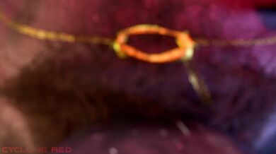 "From Futa's Perspective: Double Troublesome Love-Making"