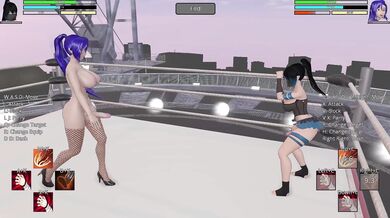 'Hentai Master's Challenge! Double Penetration Submission Match 2'