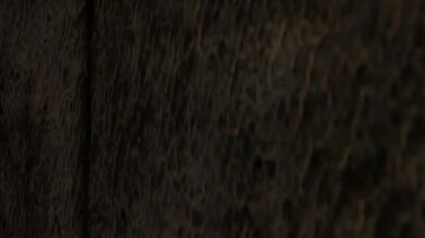 'Mistress Tristan's Anal Invasion by Nasus Cock, Stuffed with Fullmetaldude's Load'