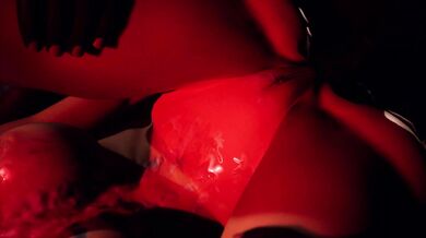 "(Warning: BNWO, For*ced) Sibling Time: CGW Part 2 / WIld Life Commissions"