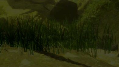 The Egg Fucker and the Little Voiceless