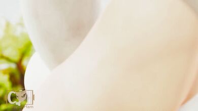 Carrots of the Garden - The Ultimate Harvest