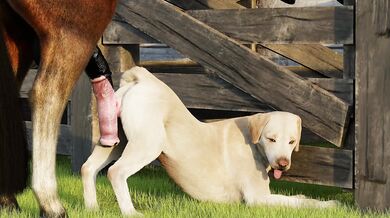 Busty Bitch in Heat, Ready to Ride